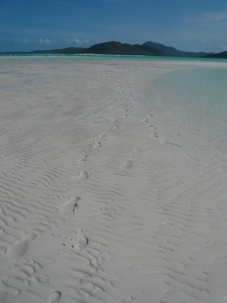 Whitsunday Islands & GBR January 2007 (85)