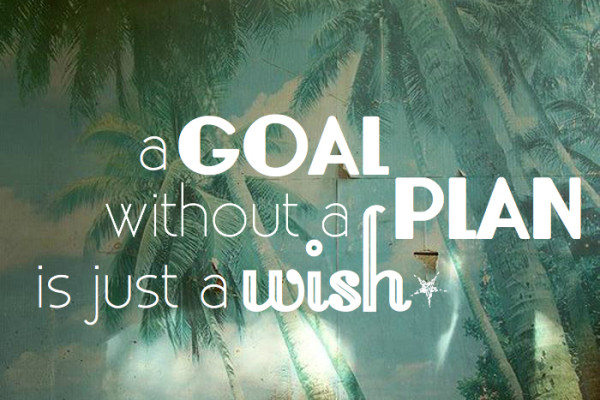 a goal without a plan is just a wish