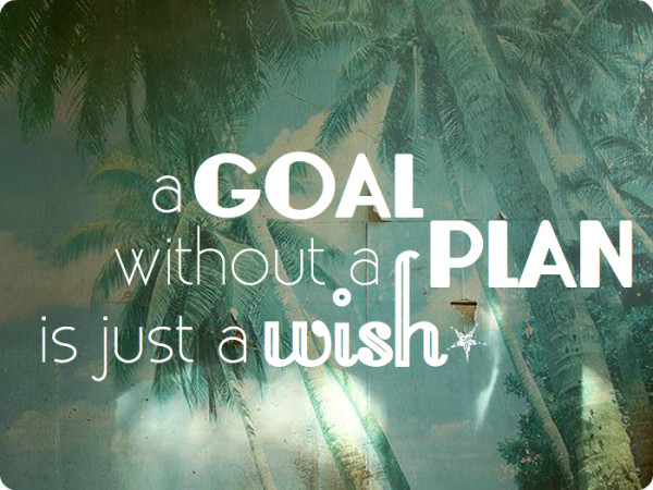 a goal without a plan is just a wish