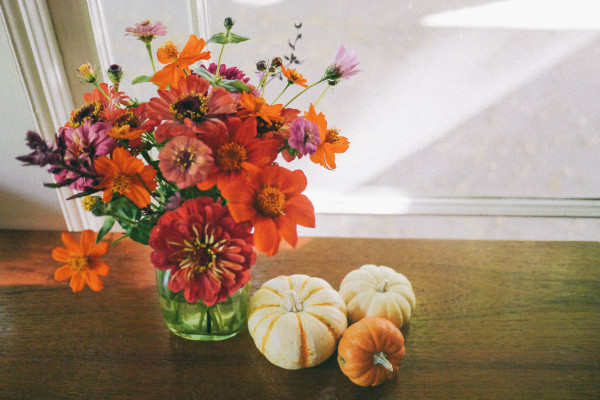 fall flowers