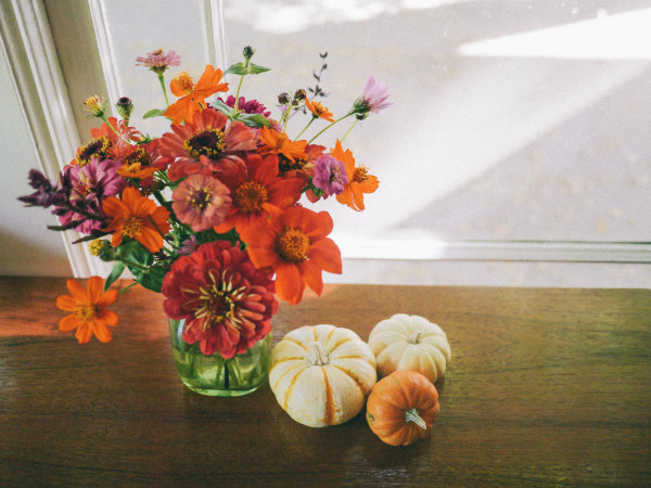 fall flowers