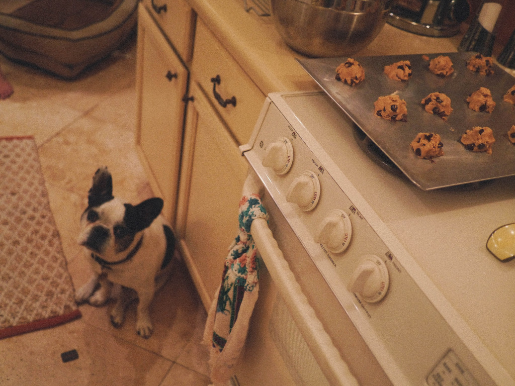 best chocolate chip cookies recipe 