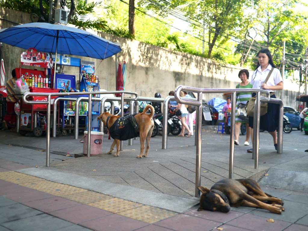 a day in bangkok, thailand