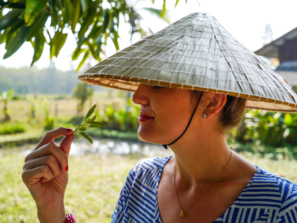 asia scenic thai cooking class chiang mai thailand