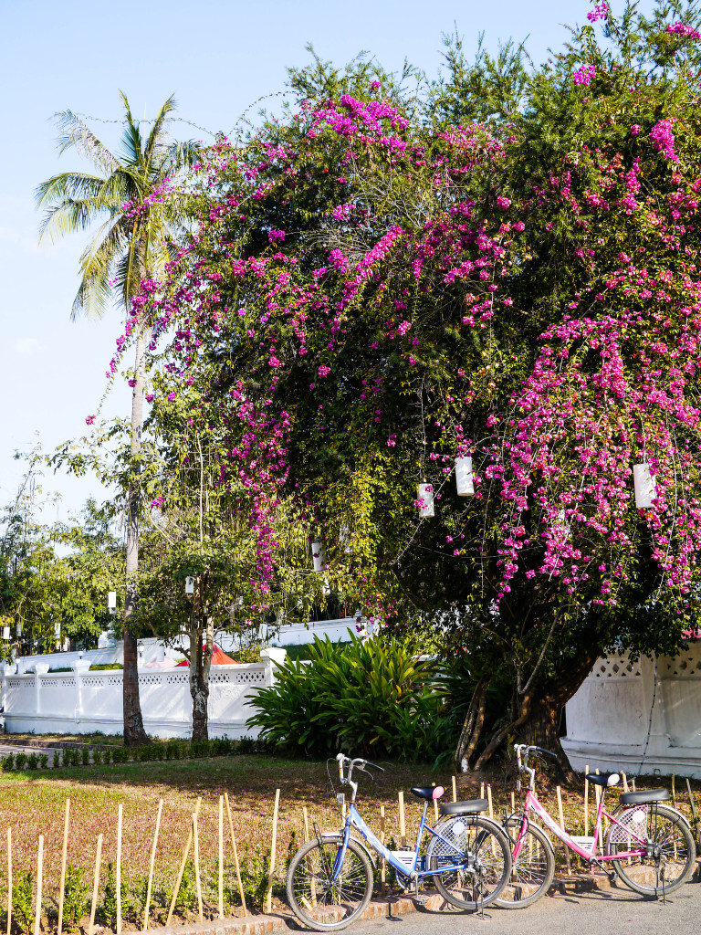 luang prabang laos