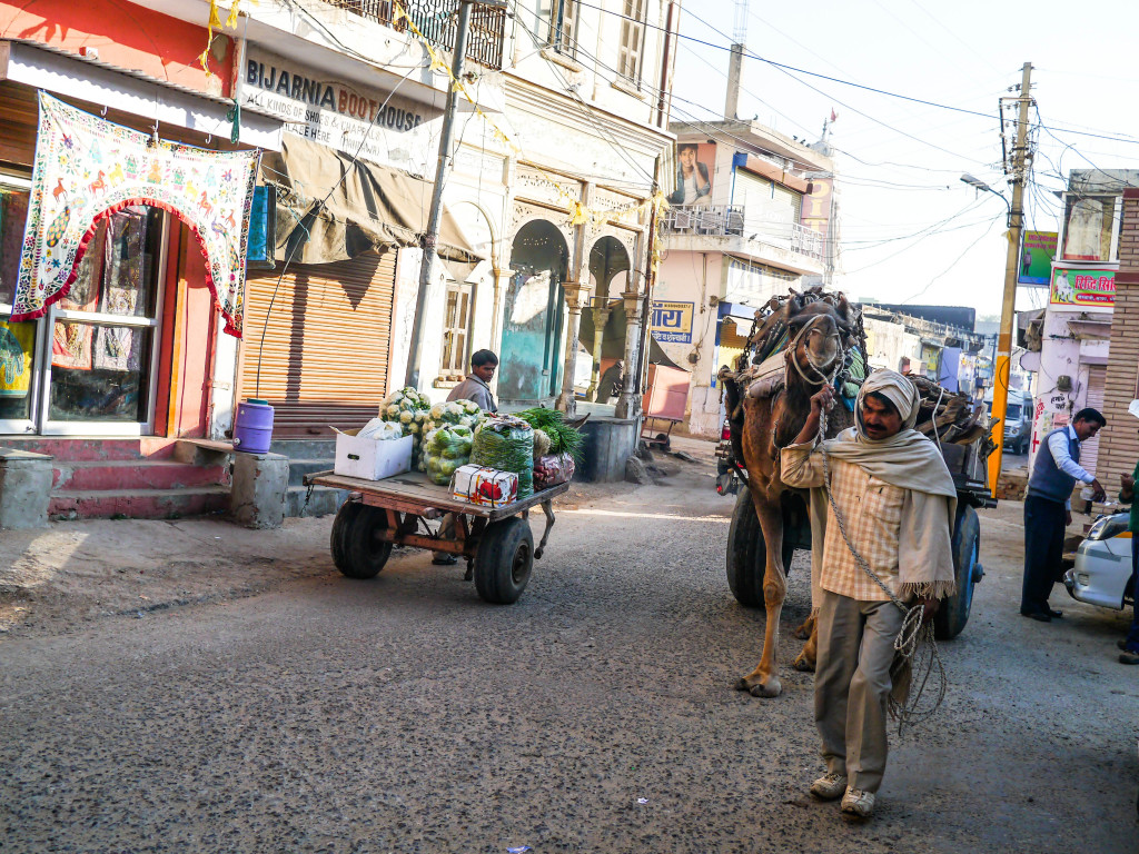 mandawa, india