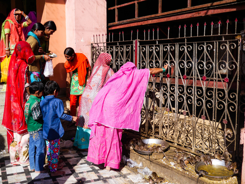 Bikaner, India