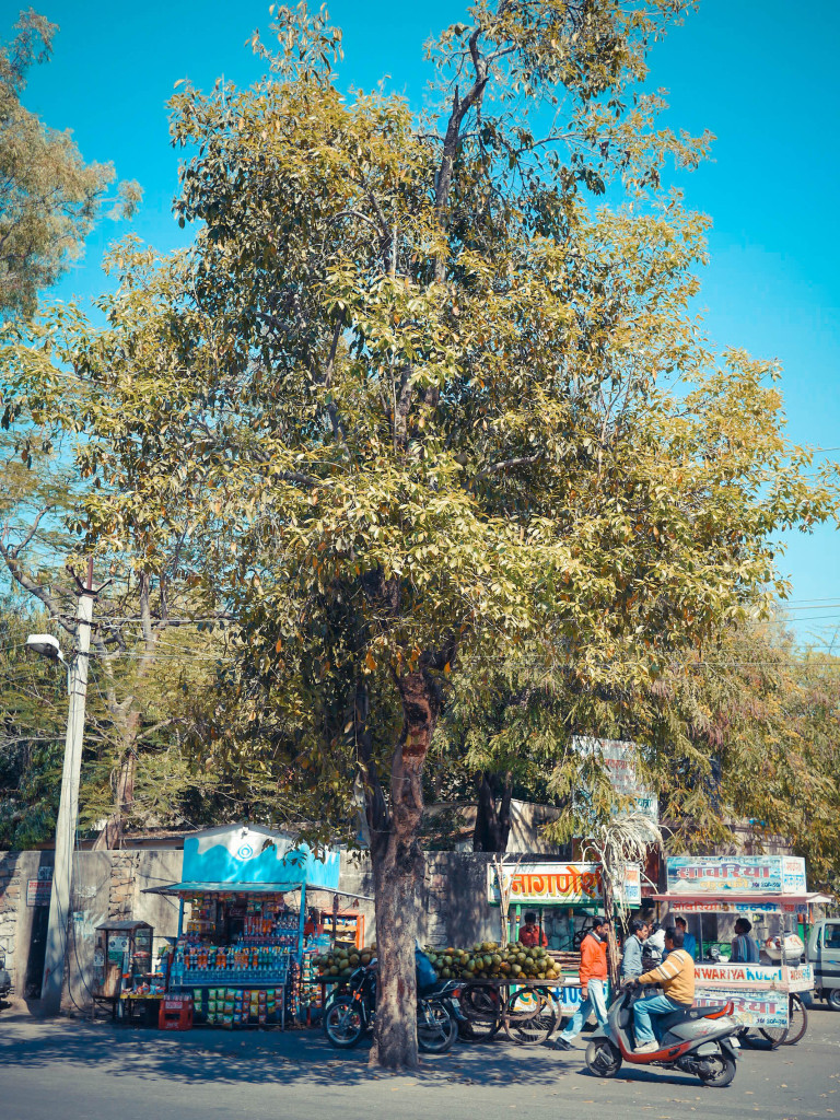 udaipur, india