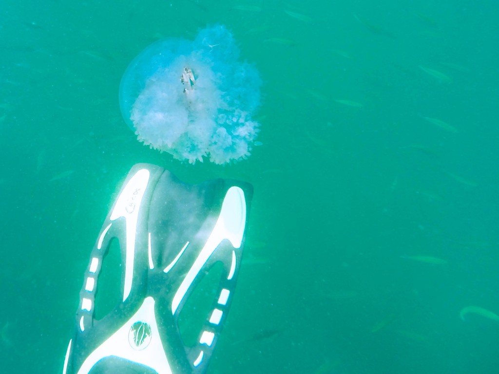 snorkeling in thailand