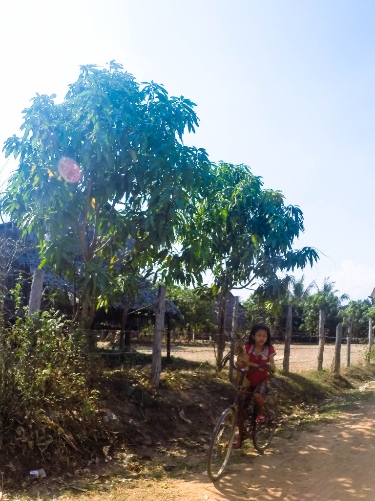 quad adventure cambodia siem reap