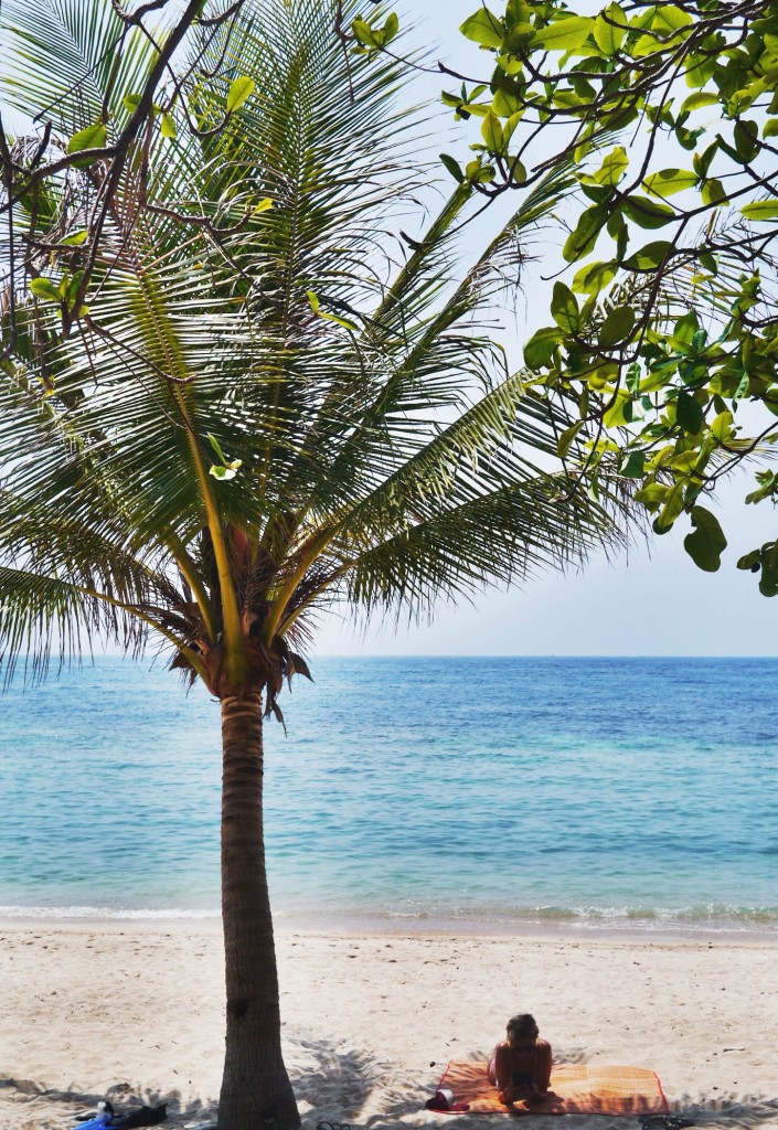 koh tao thailand