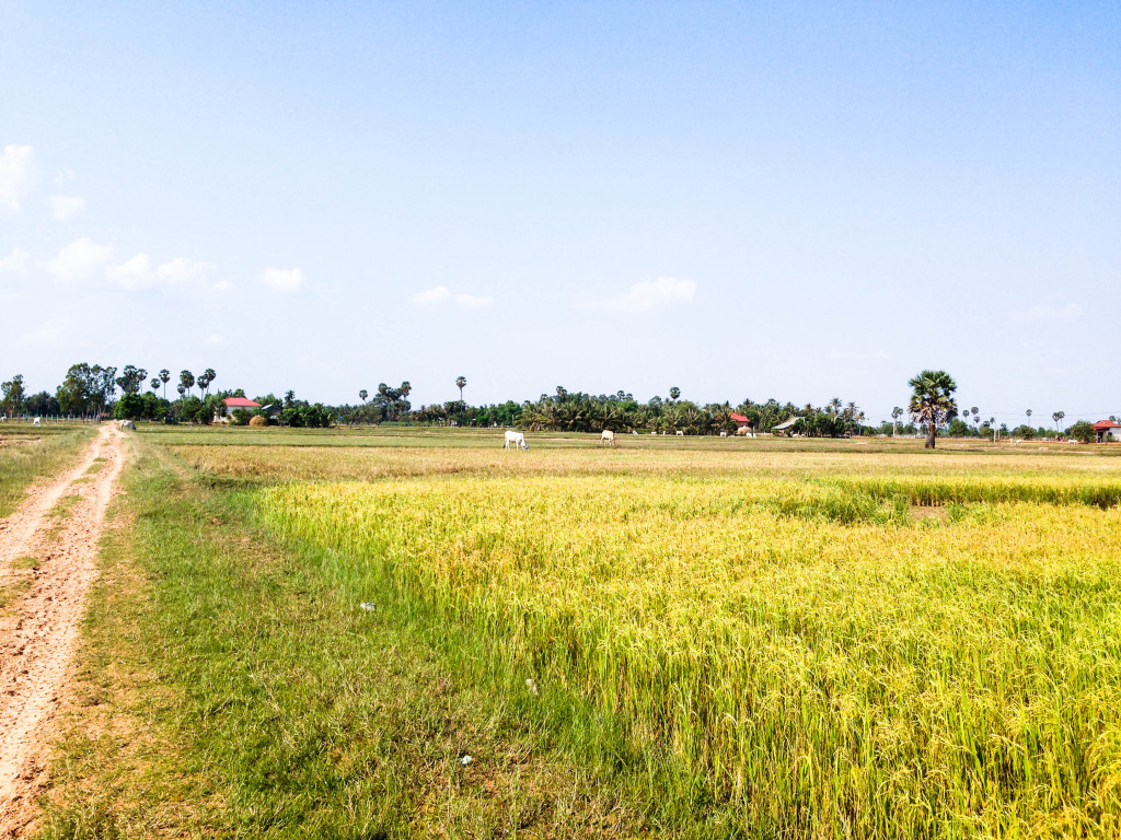 quad adventure cambodia siem reap