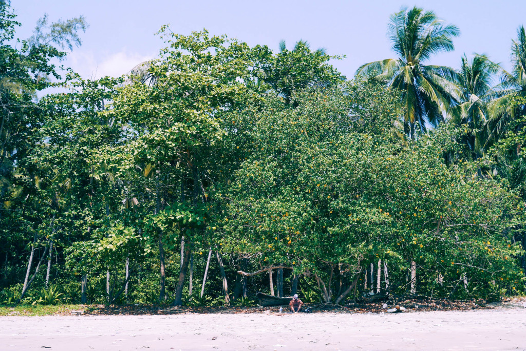 koh jum island, thailand 