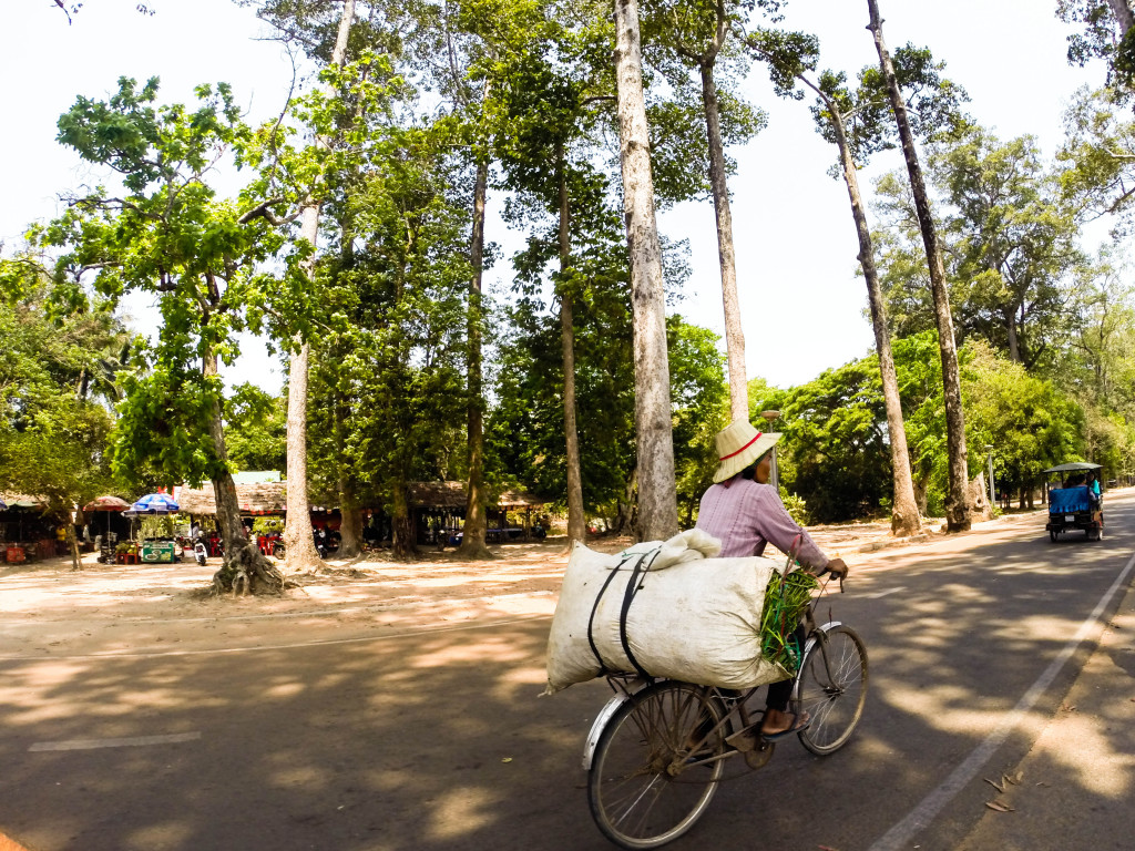 tour angkor wat siem reap cambodia