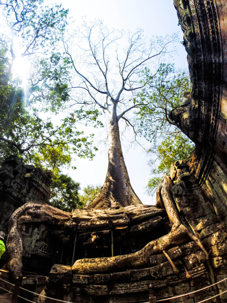 angkor wat siem reap cambodia