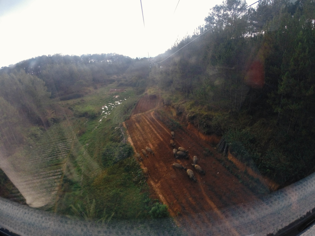 gondola in dalat, vietnam