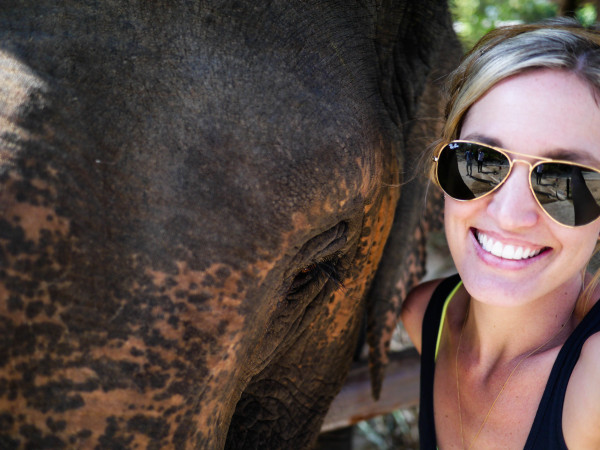 elephant selfie