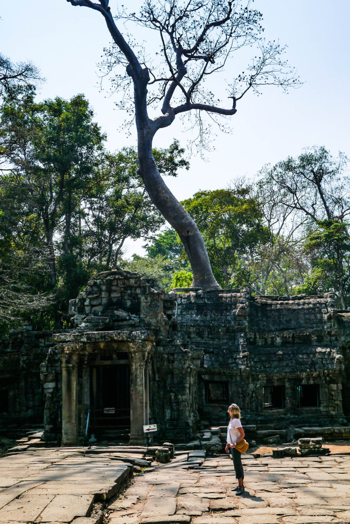 tour angkor wat siem reap cambodia