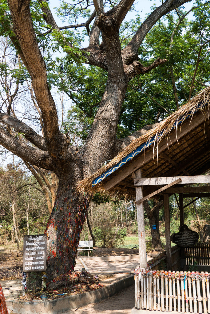 cambodia 