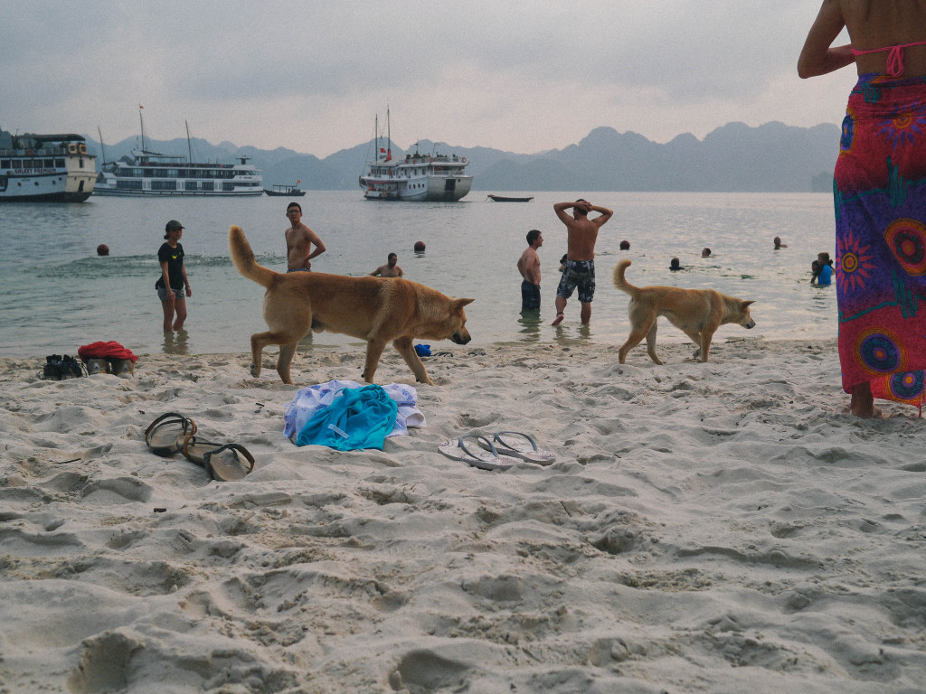 halong bay vietnam galaxy premium