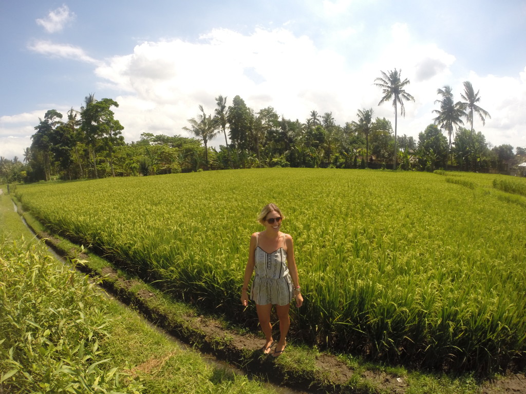 travel guide ubud, indonesia