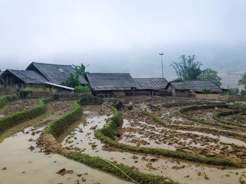 hmong trek in sapa vietnam