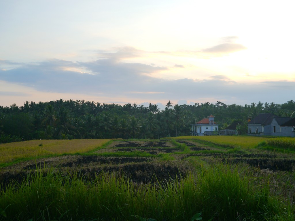 travel guide ubud, indonesia