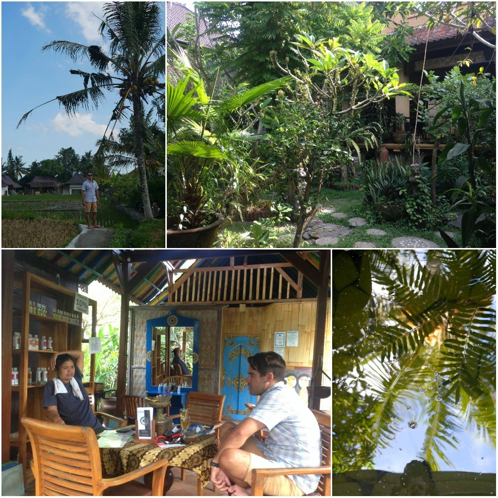 ubud sari health spa