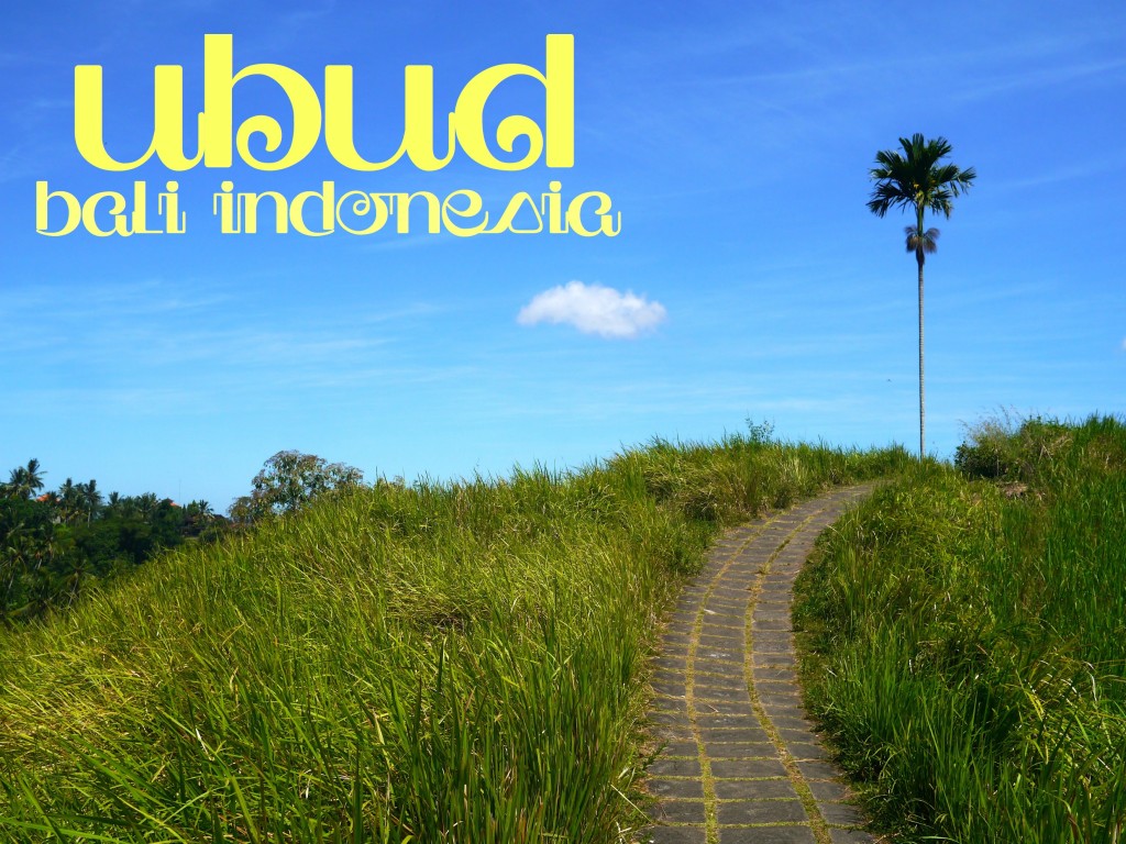 things to do in ubud bali