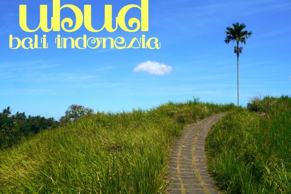 things to do in ubud bali