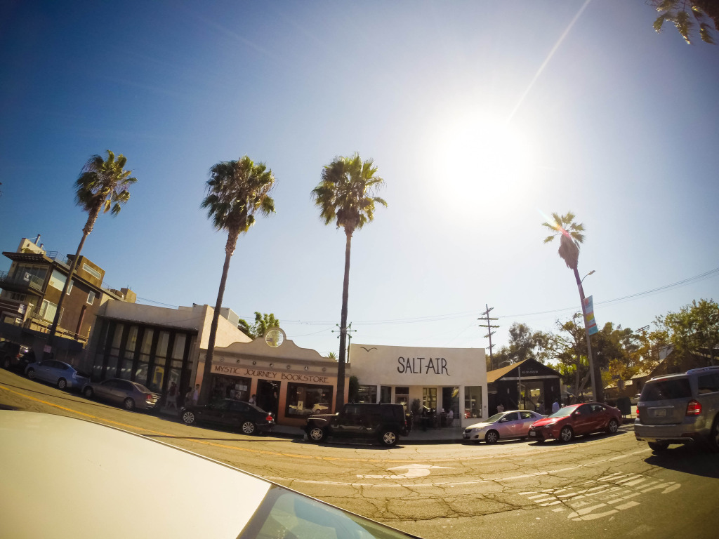 venice beach california