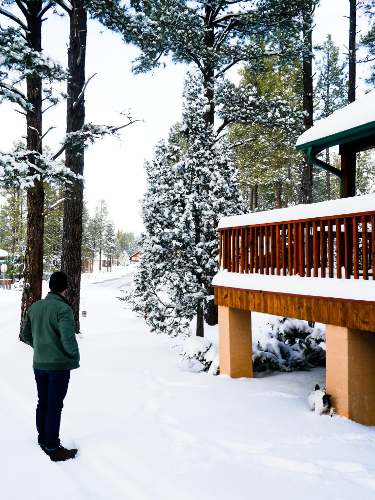 pinetop lakeside arizona