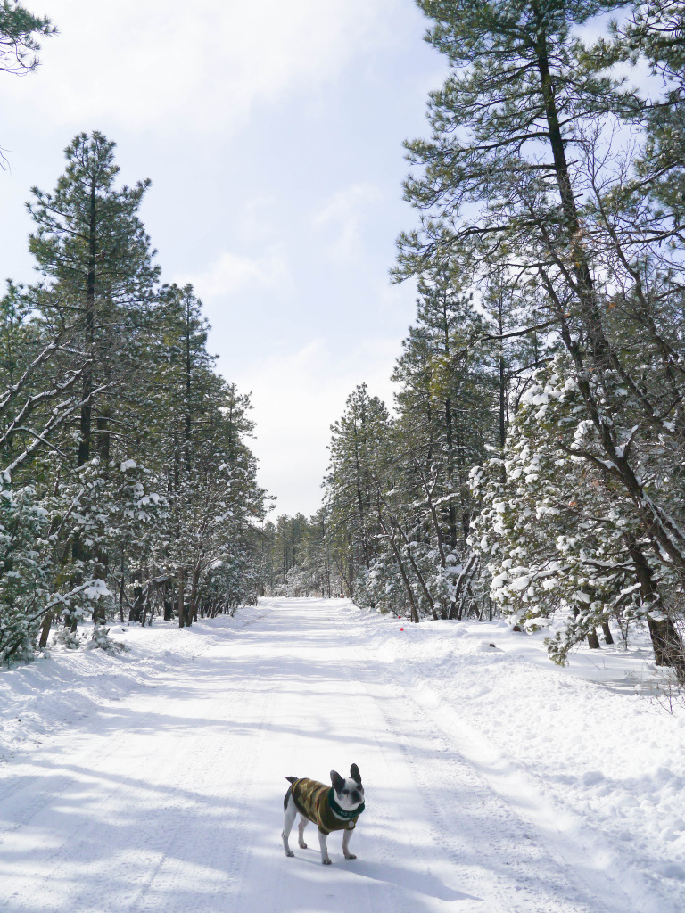 pinetop lakeside arizona