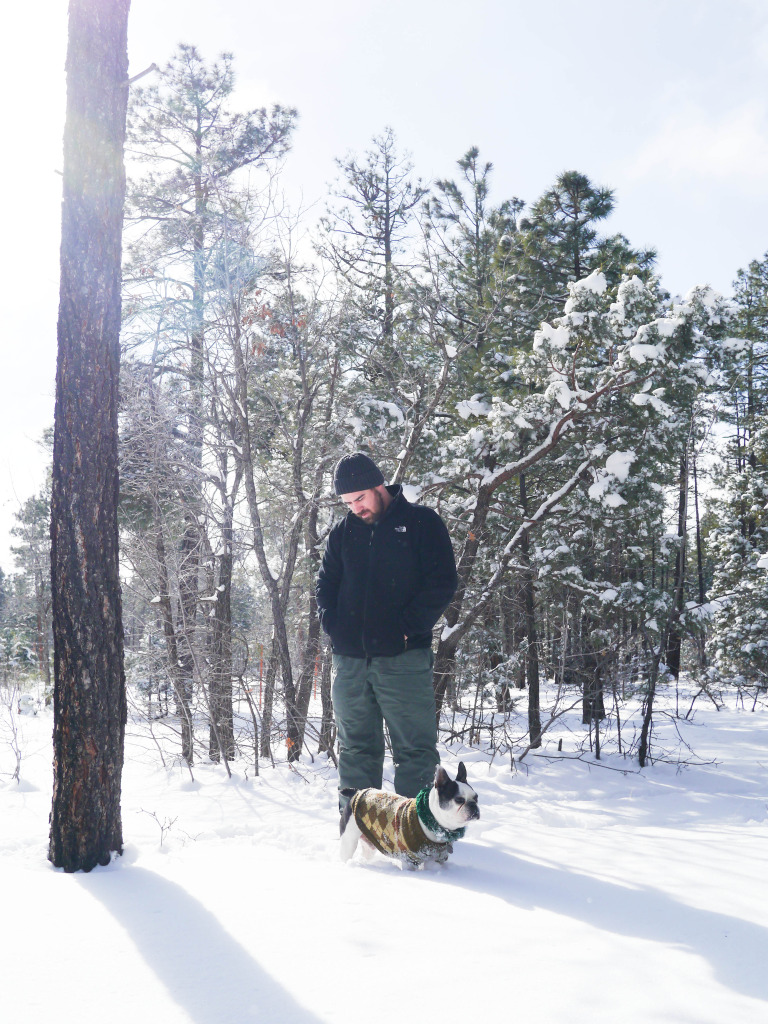 pinetop lakeside arizona