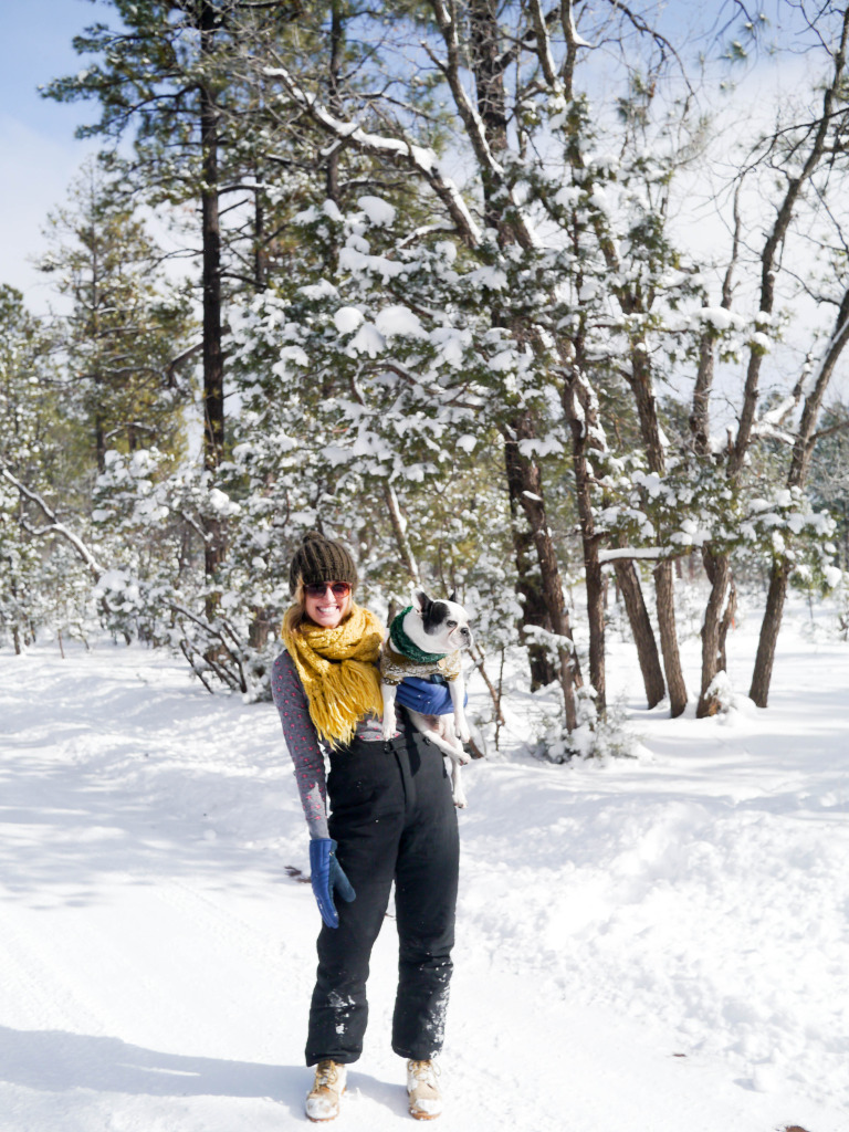 pinetop lakeside arizona