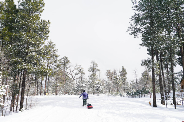 pinetop lakeside arizona