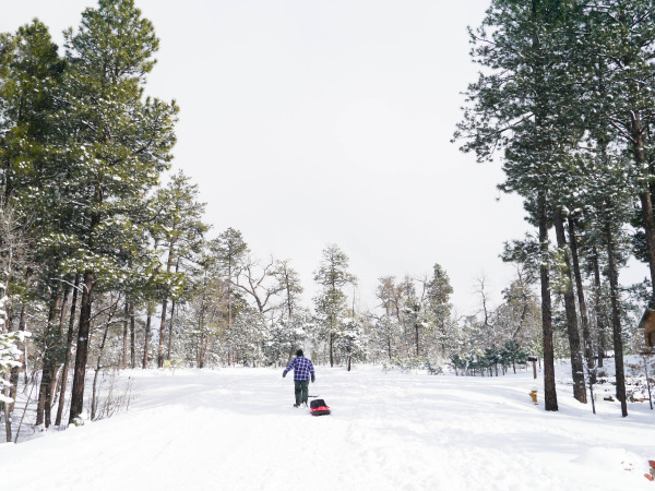 pinetop lakeside arizona