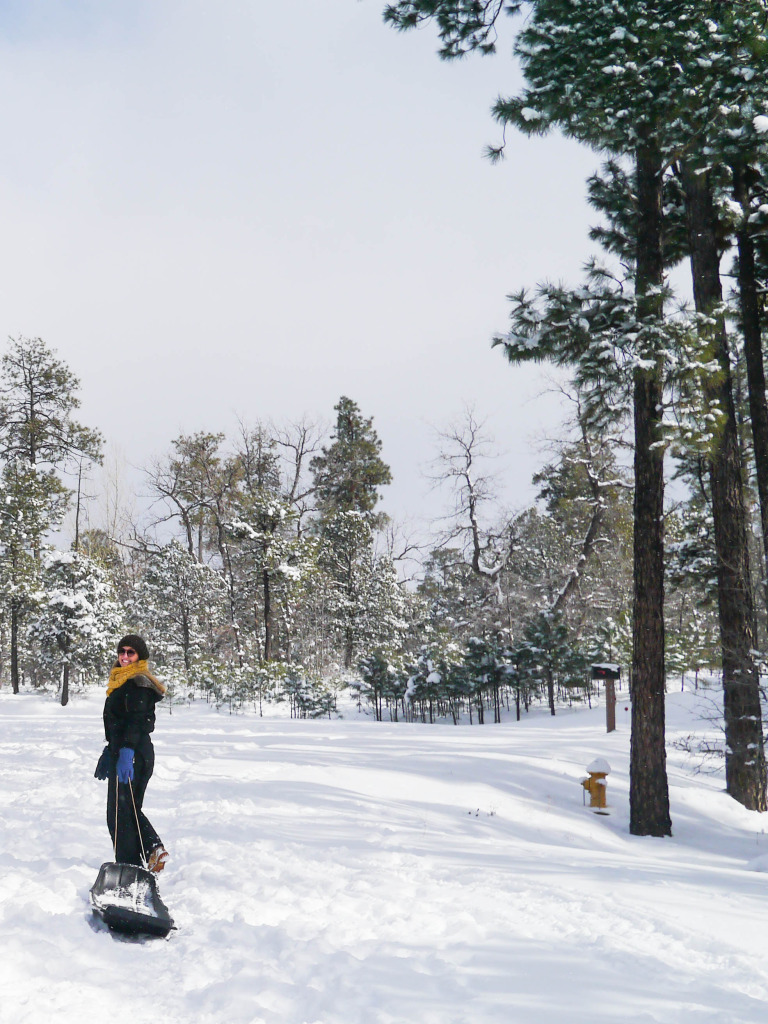 pinetop lakeside arizona