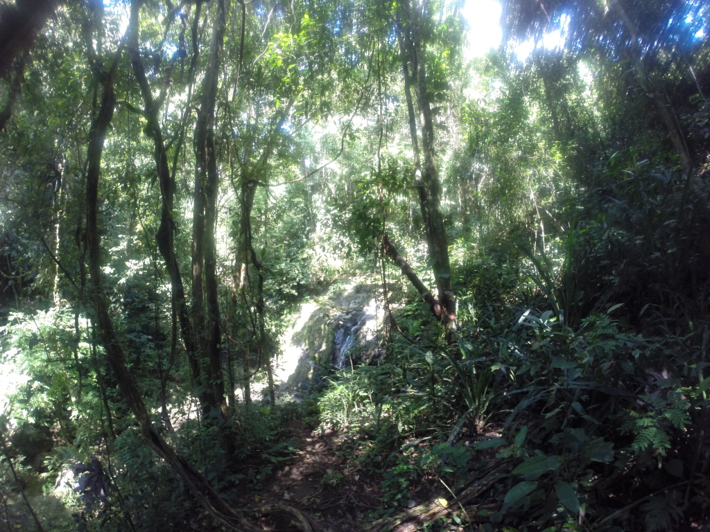 manuel antonio national park