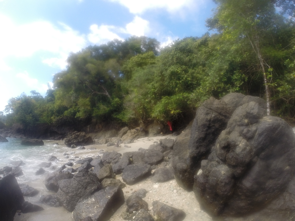 manuel antonio national park