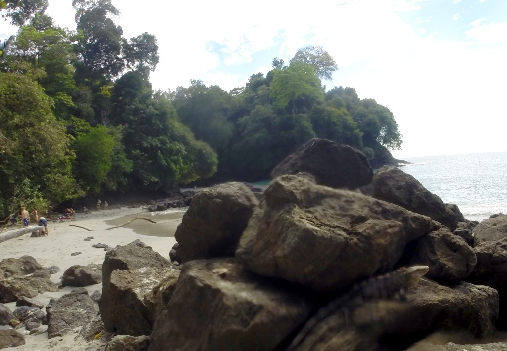 manuel antonio national park