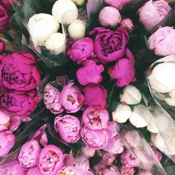 peonies