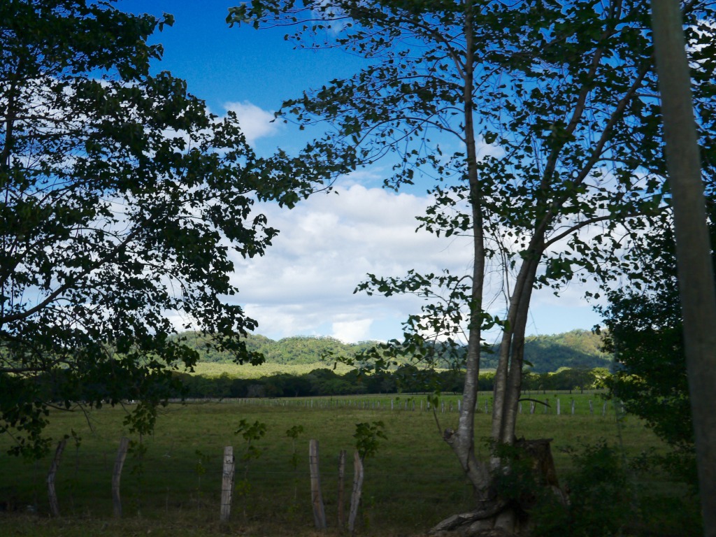 drive from manuel antonio to nosara