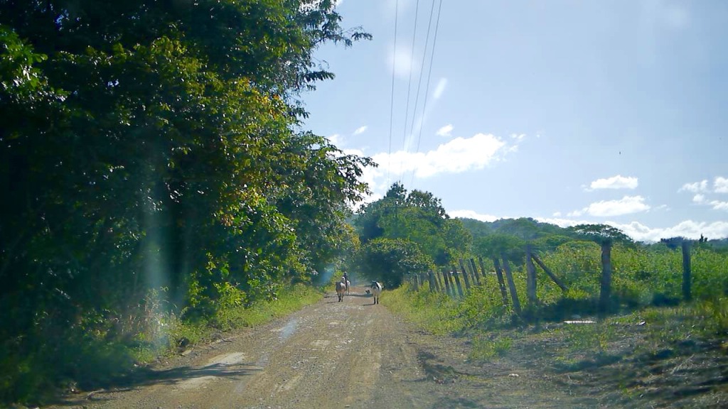 drive from manuel antonio to nosara