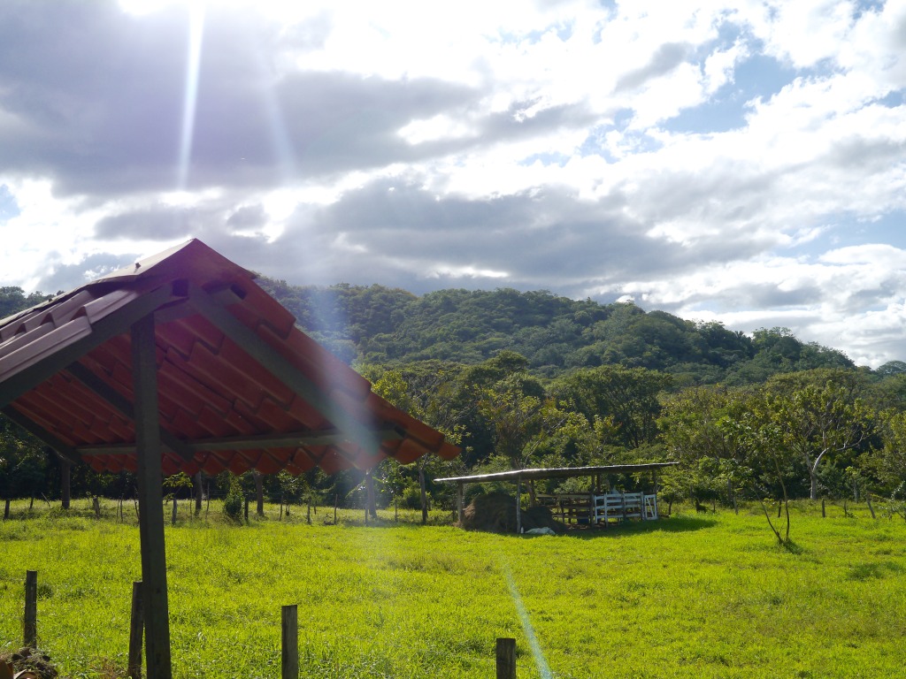 drive from manuel antonio to nosara