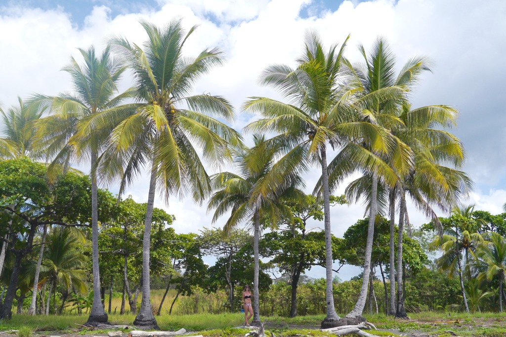 marbella costa rica